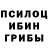 Псилоцибиновые грибы мухоморы Kaskrins Mag
