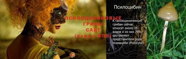 индика Алексин