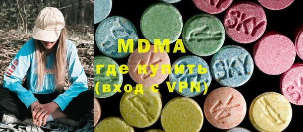 индика Алексин
