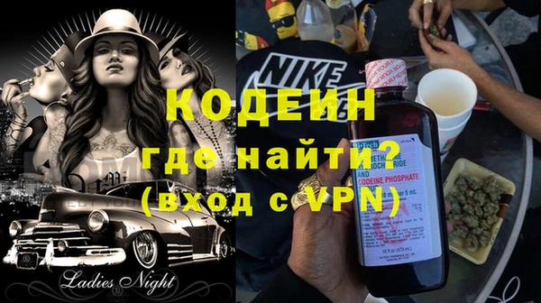 индика Алексин