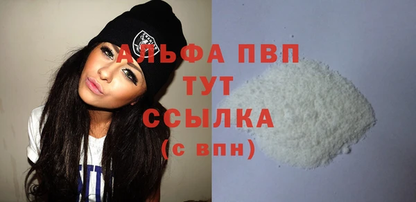 индика Алексин