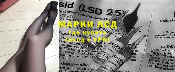 индика Алексин