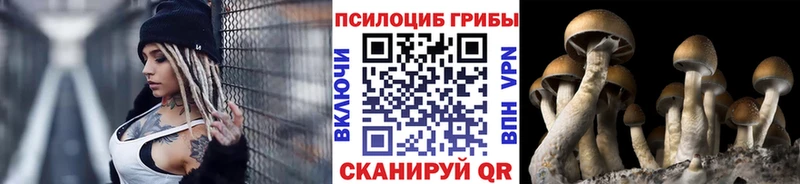 где купить наркоту  Пласт  Галлюциногенные грибы MAGIC MUSHROOMS 